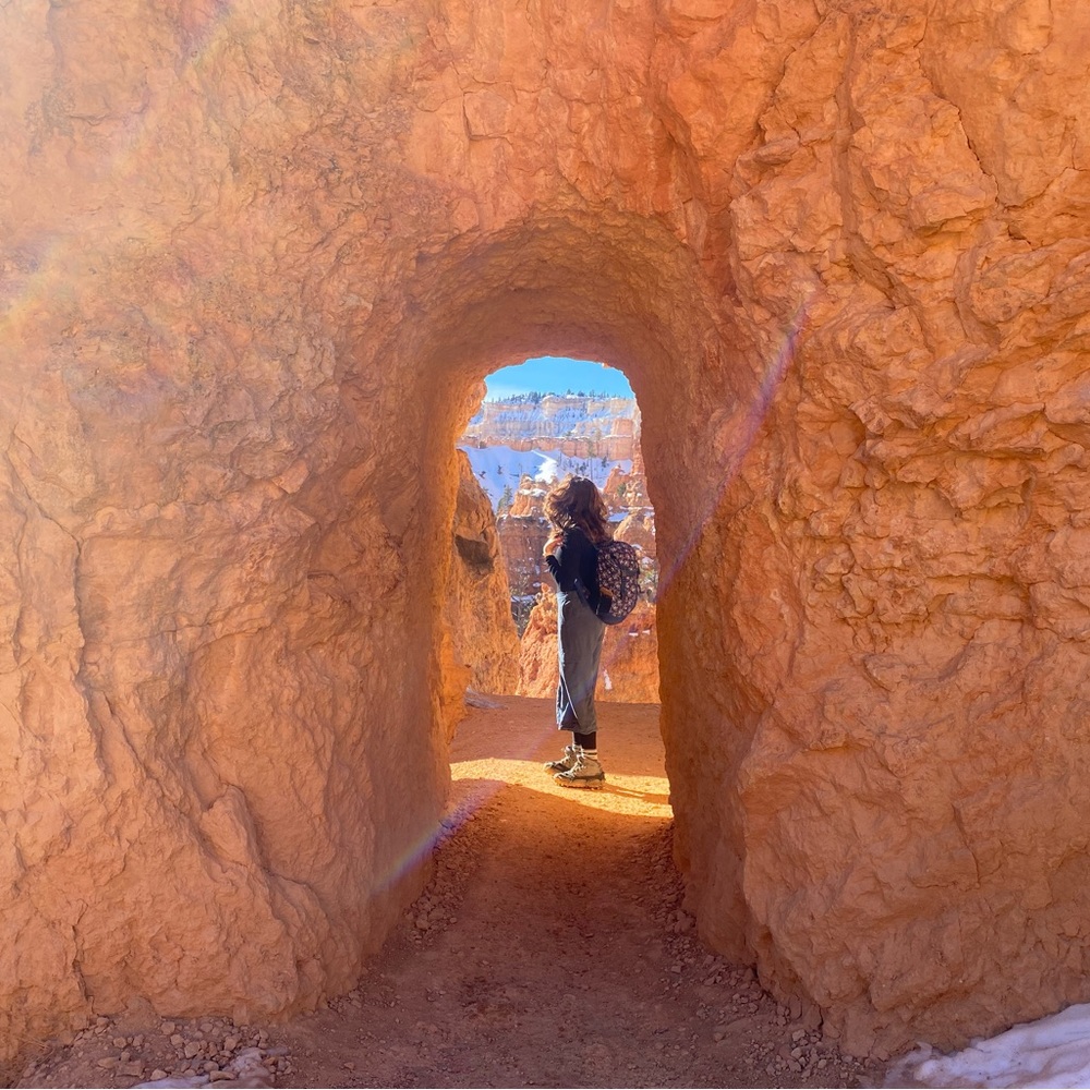 Meet your Posher, Elise